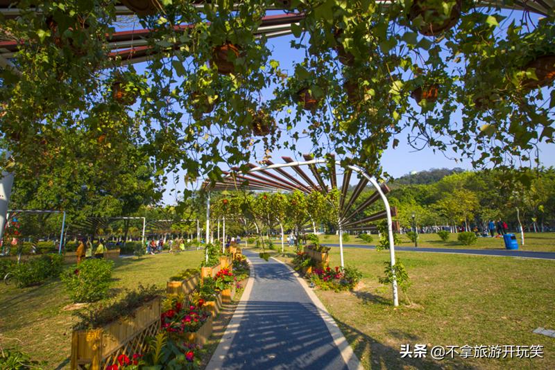 东莞植物园美丽好风景,东莞植物园有什么景色