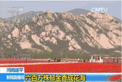 忆清明祖辈给我们留下了什么？