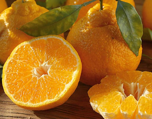 夏天当季水果有哪些,夏季当季的酸甜可口的水果有哪些