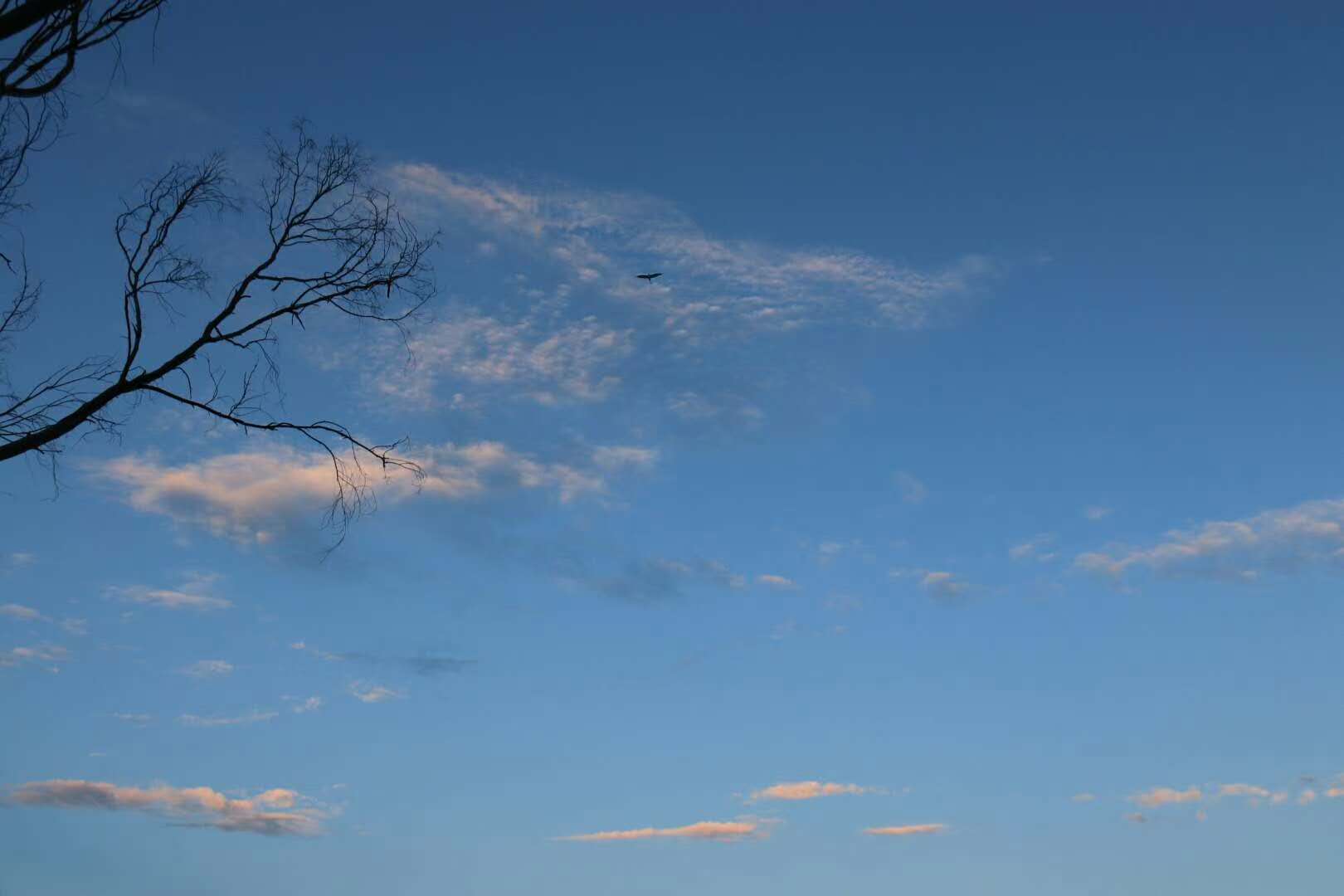 左传多行不义必自毙怎么读,左传多行不义必自毙的原文