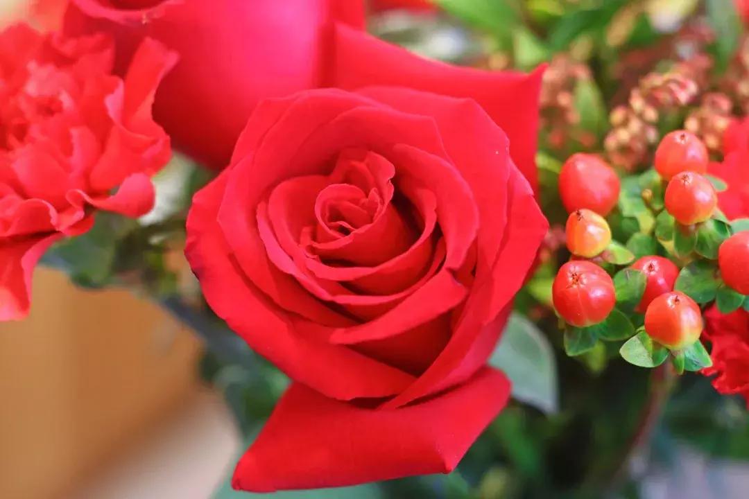 厦门这家超浪漫的鲜花餐厅,厦门最好看的花店