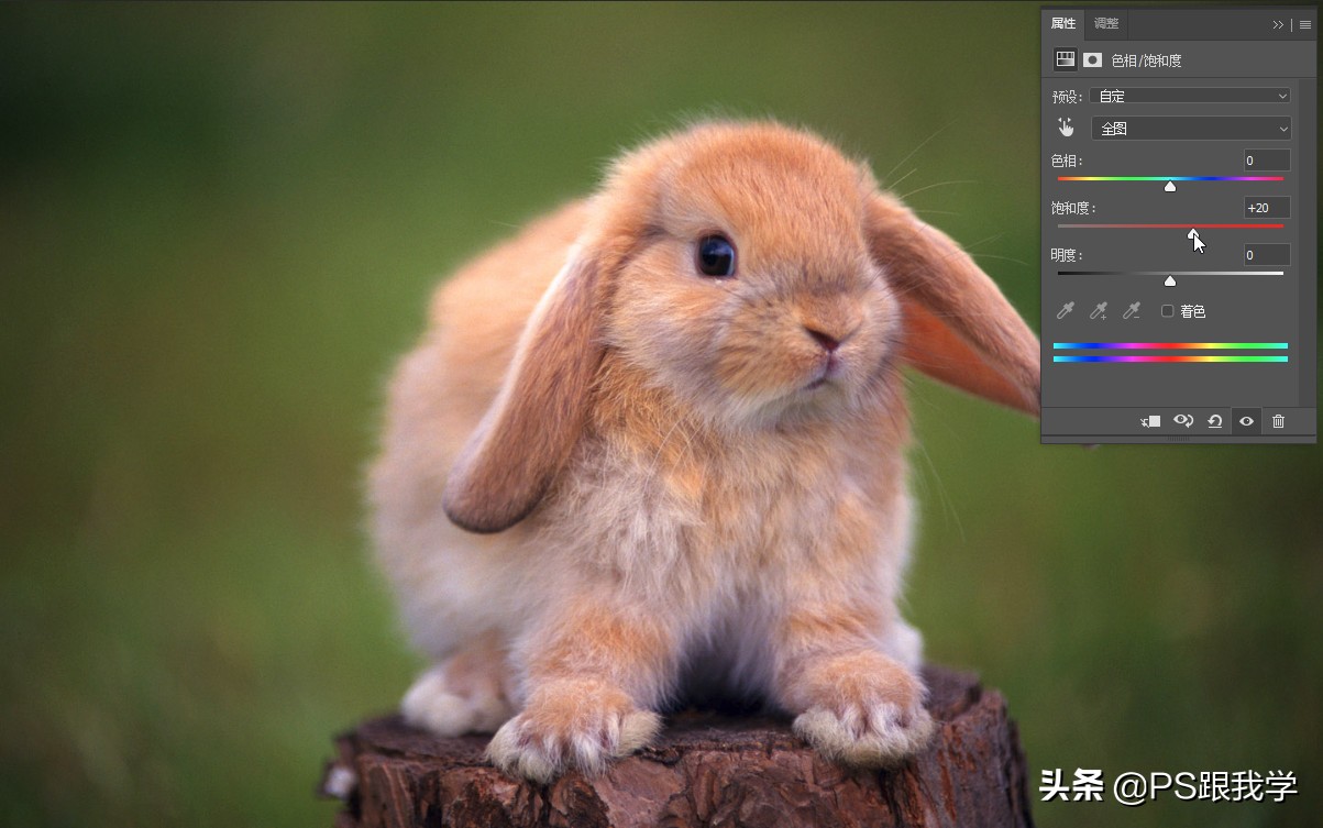 ps魔棒工具选区羽化,ps羽化选区攻略