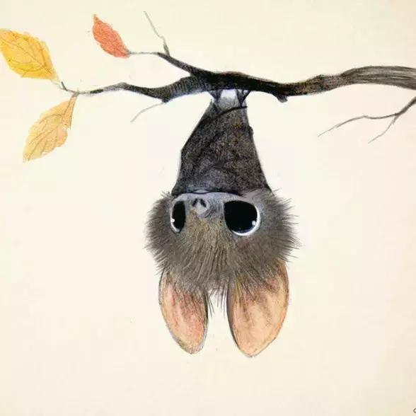 告诉你一个最有意思的笑话,充满正能量有趣比较长的笑话