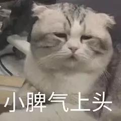 我发现现在这*子骗**真是邪门，卖个鱼钩还能想出来这么多种骗法……