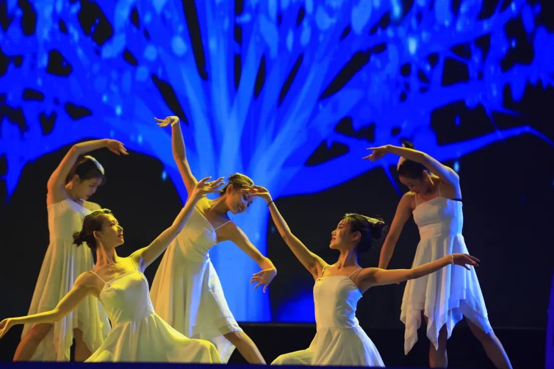 “一带一路”2020陕西宝鸡“百合杯”乒乓球大奖赛精彩开幕