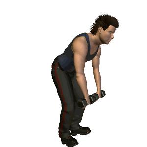 哑铃健身动作大全新手跟练,新手健身哑铃训练动作大全