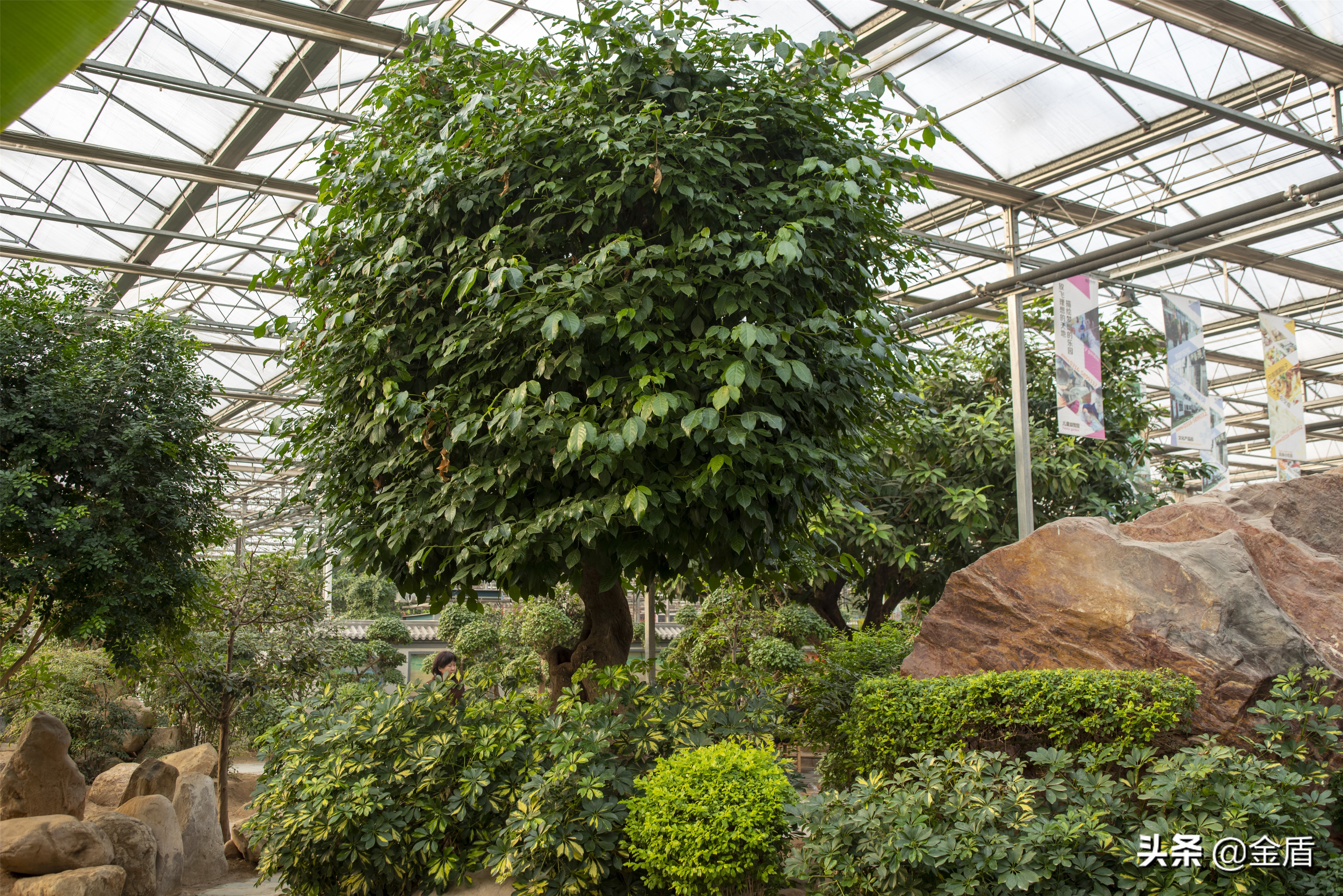 九天休闲谷欢迎您游玩,九天休闲谷适合春天去吗