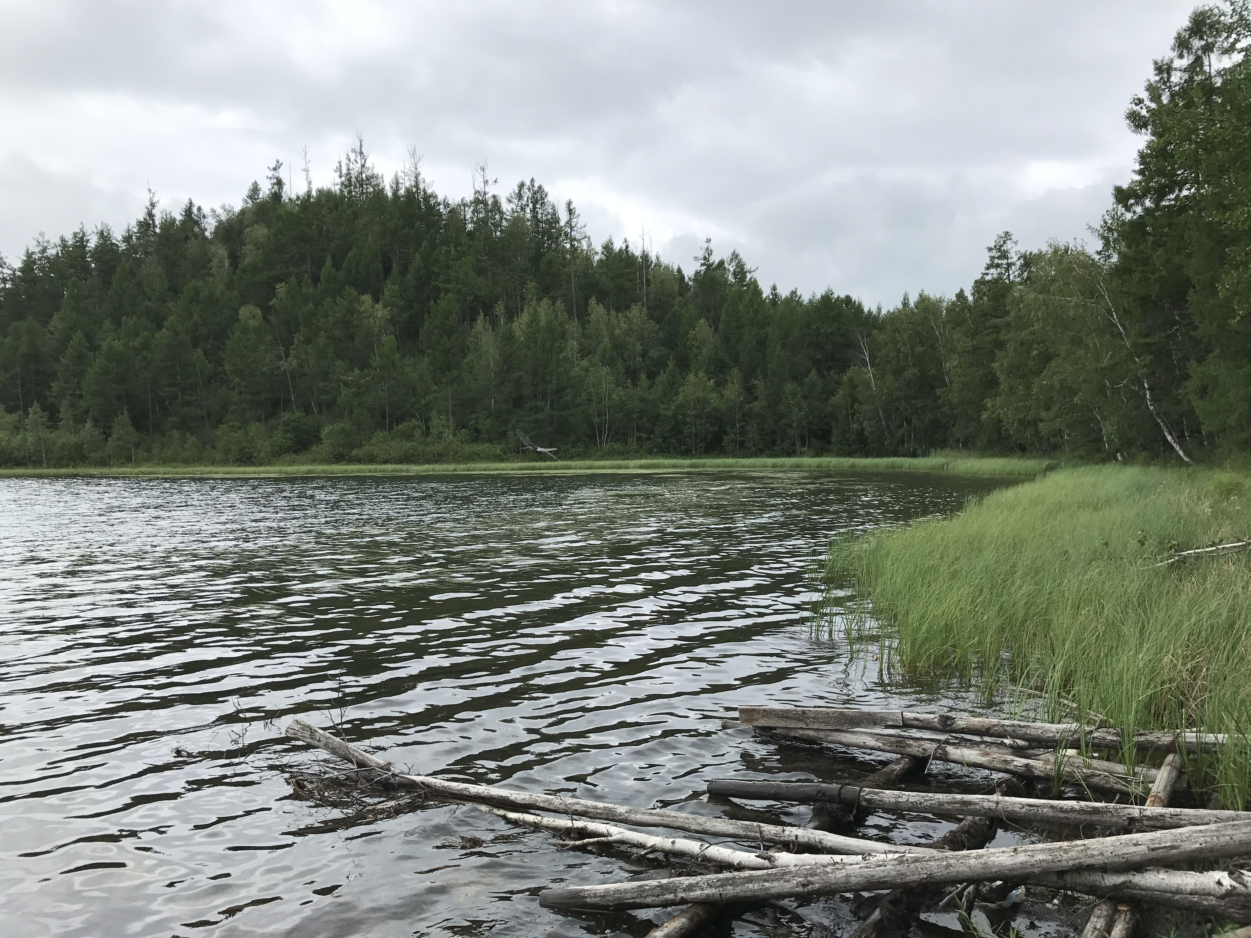 北京游阿尔山路线攻略,北京阿尔山旅游自由行攻略