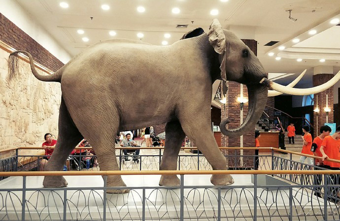 辽宁大连旅游必去十大景点推荐,大连五一免费旅游景点推荐