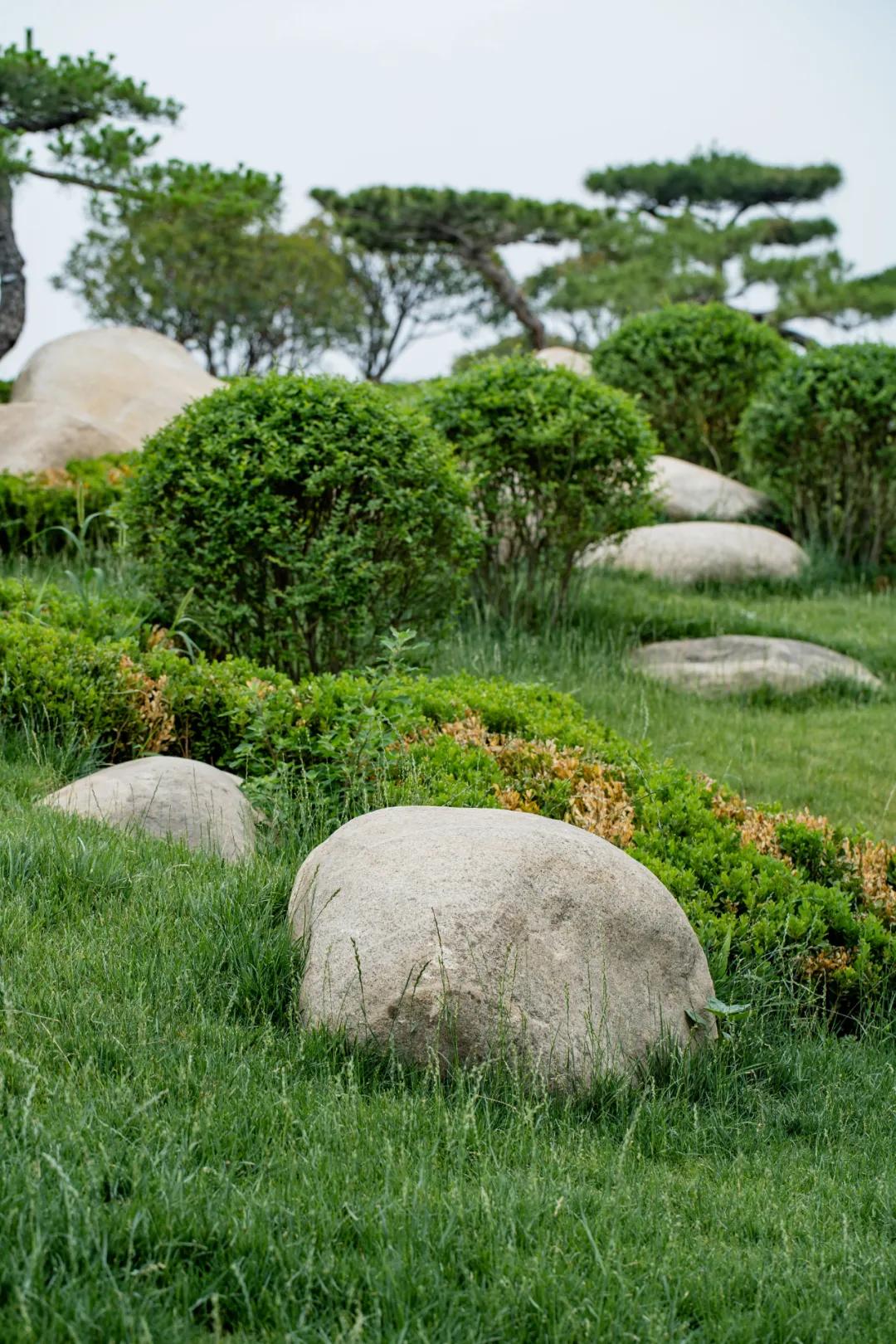 西安花海小森林,西安周边适合郊游野餐的地方