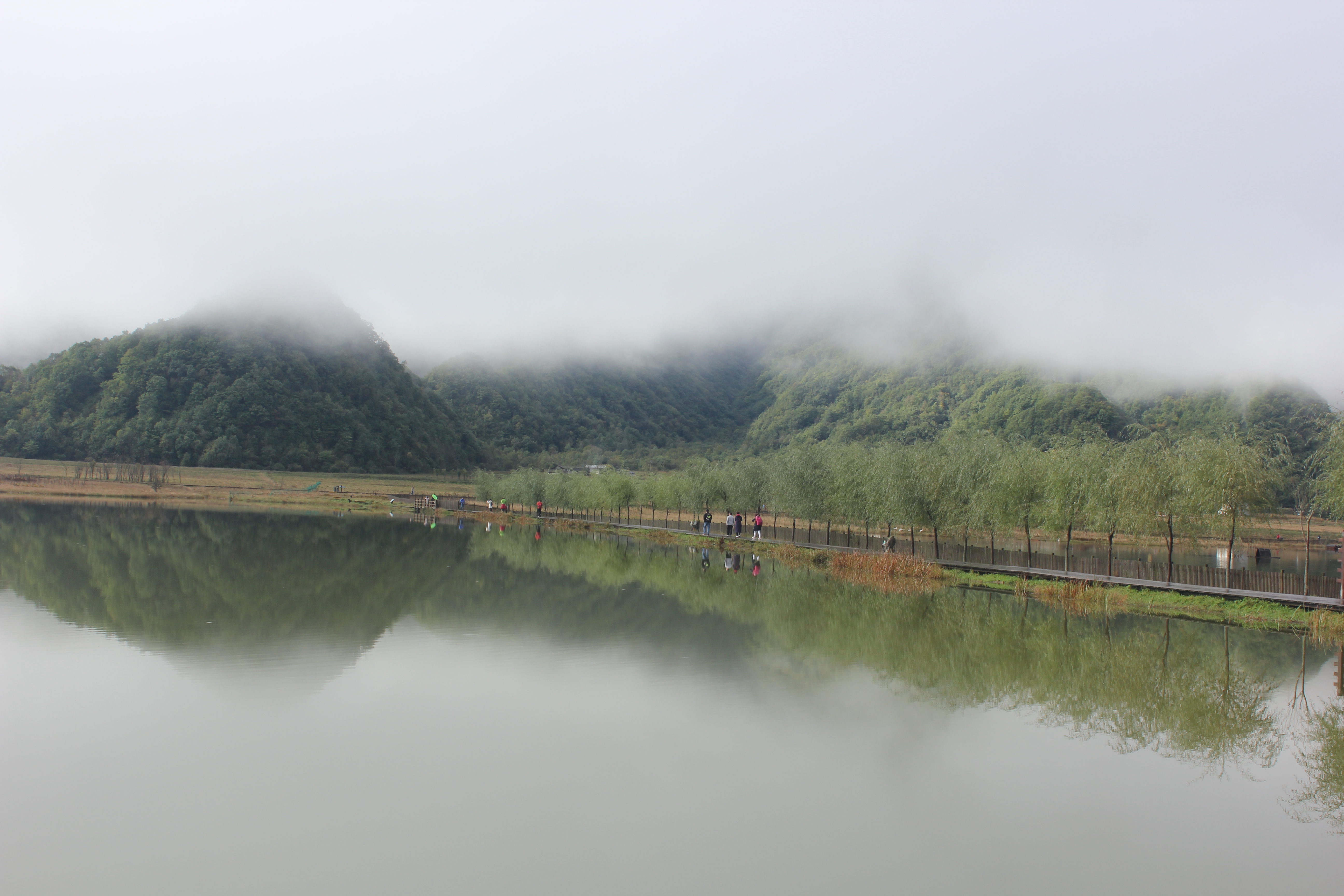 雨中神农架探秘之旅｜国庆节节武汉至神农架自驾游攻略分享