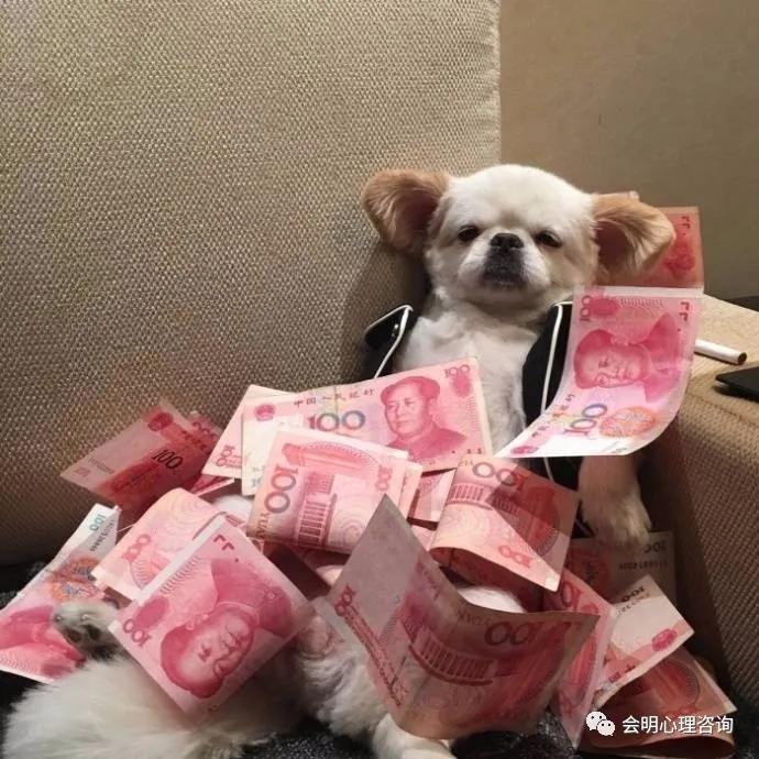 心想事成到底是心在想还是脑在想,心想事成反而不知所措