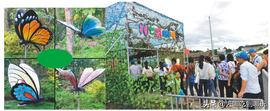 69.9抢惠州罗浮山漂流门票89元抢漂流门票+空中田园