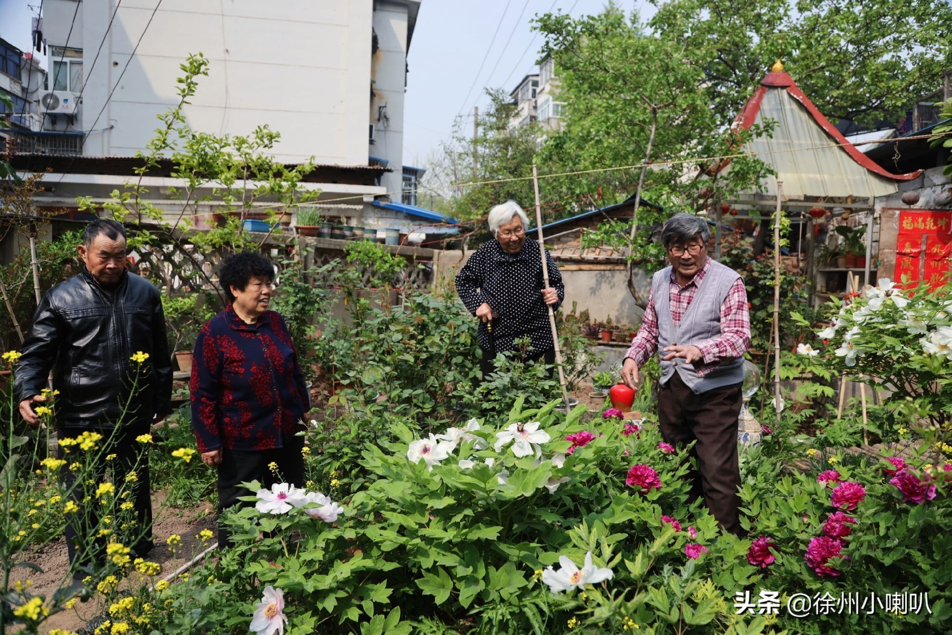 一起养花一起开心一起变老,一起养花一起幸运