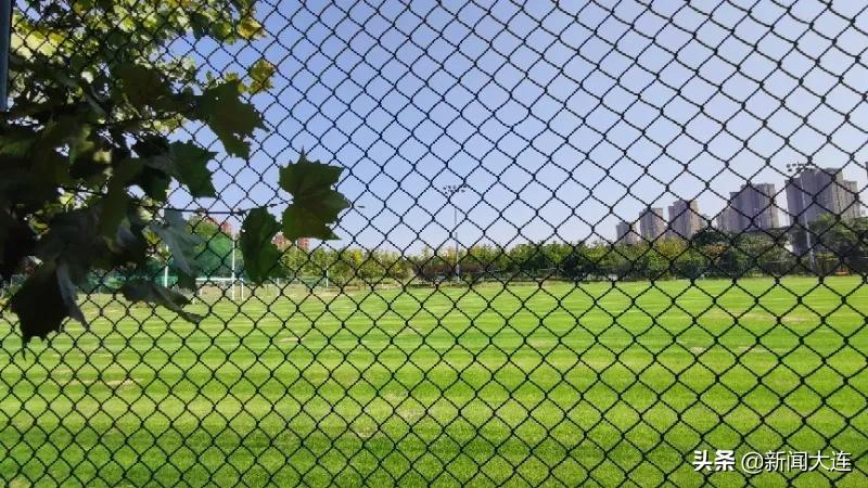 赏秋不必远行！大连这些地方美得正当时