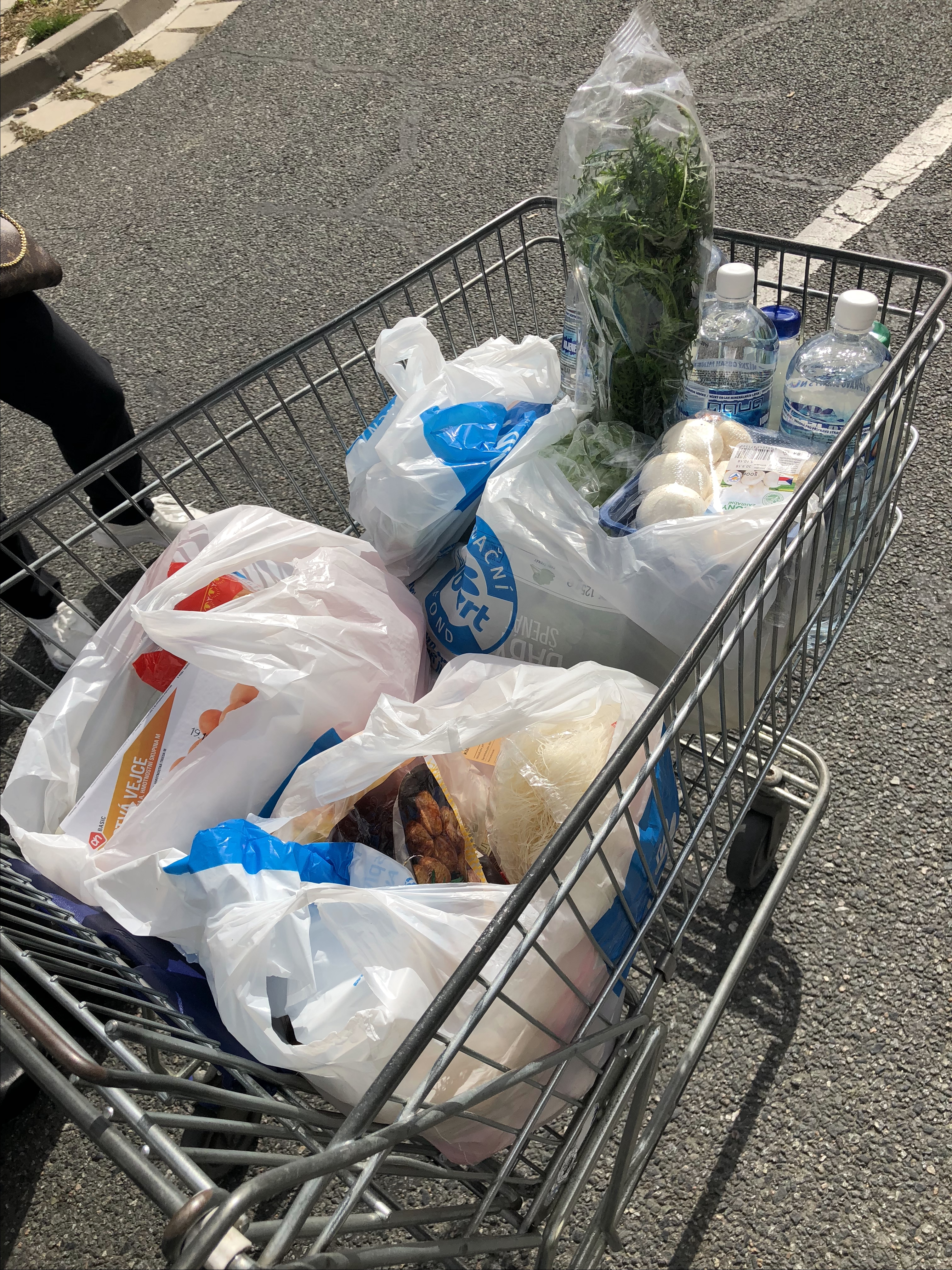 发达国家的国家物价稳定吗,捷克的物价水平