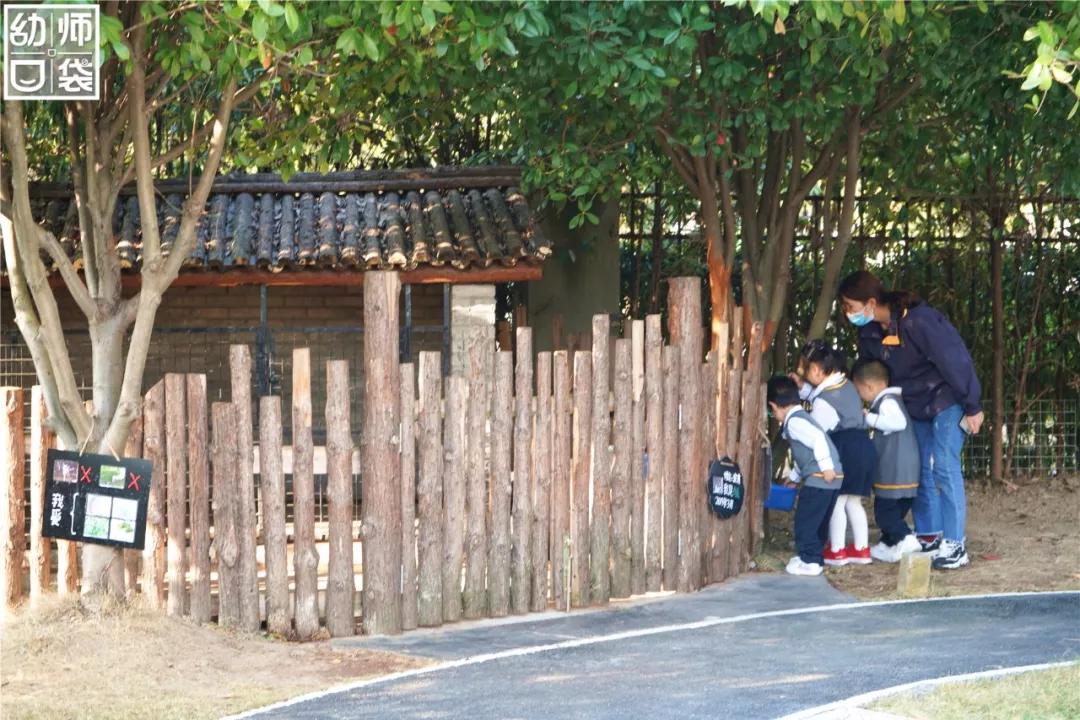 这里有最好的自然、最野的运动、最幸福的老师和孩子丨走进幼儿园