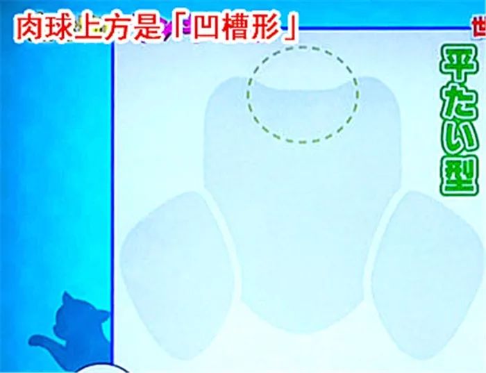 猫爪辨别猫的性格,猫咪爪垫分辨性格准确吗