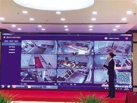 带导盲犬进海底捞被拒网友吵翻了,带导盲犬海底捞