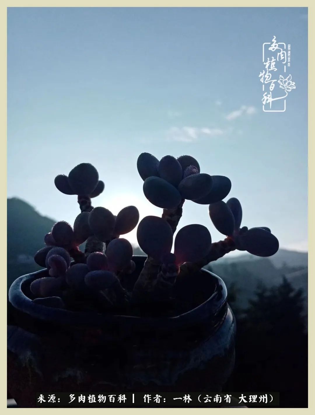 星光不问赶路人文案,时光不负有心人星光不负赶路人