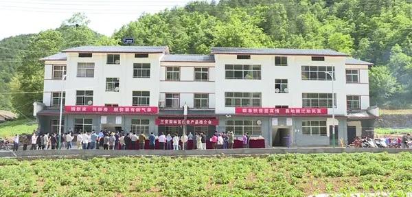 十堰消费扶贫馆,十堰竹溪向坝乡山货