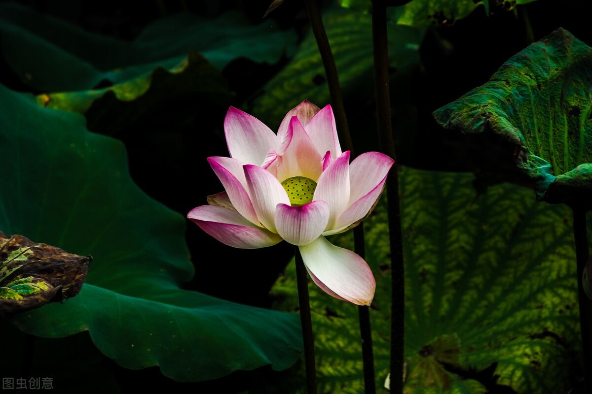 产科女医生的故事,妇产科门诊精彩故事