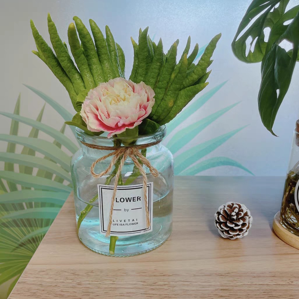 小时候怎么没听说过佛手瓜,佛手瓜和佛手不是一种东西吧