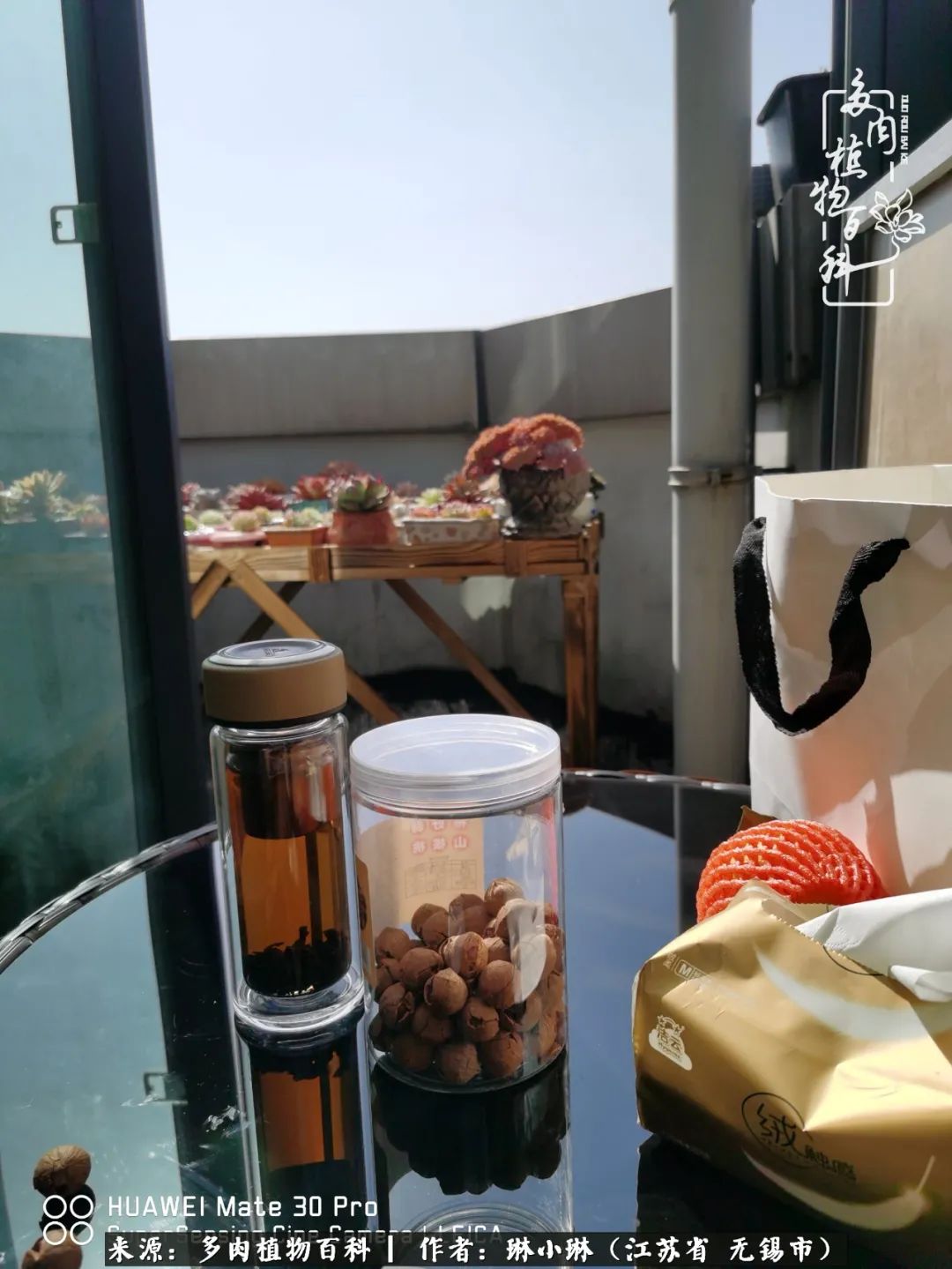 多肉变美是需要时间的,千万别辜负了多肉变美的黄金季节