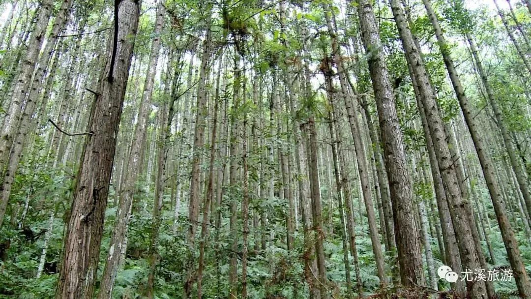 福建五一适合去哪旅游最合适,福建10大景点自由行攻略