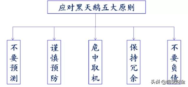 2020下半年警惕10大黑天鹅,2020-2021年黑天鹅
