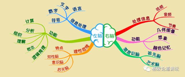 最强大脑团队还原魔方,最强大脑最可惜的项目魔方