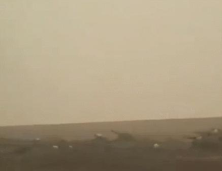 澳大利亚森林大火鸭嘴兽灭绝了吗,澳大利亚鸭嘴兽面临灭绝新闻