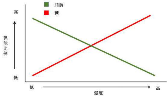 关于减脂的饮食健身原则你懂了吗,新手减脂能不能只练三大项