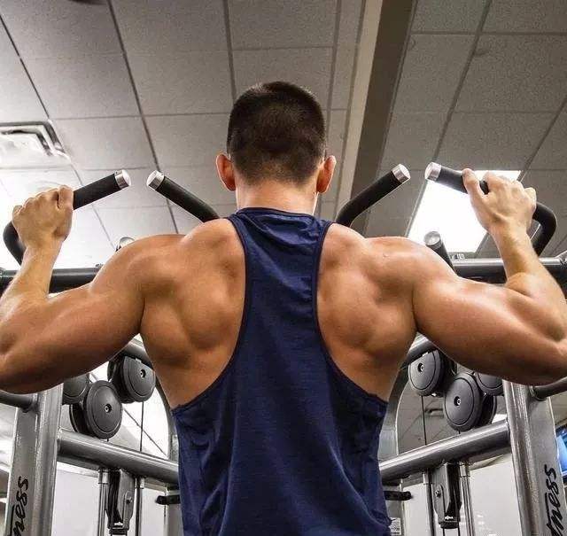 针对背部肌群的训练动作,背阔肌最佳背部训练动作