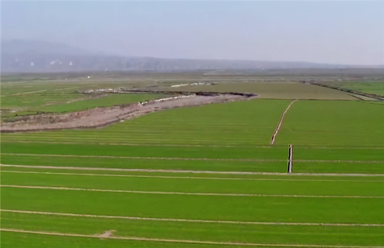 陕西银桥乳业新加坡,陕西五家入选500强民营企业