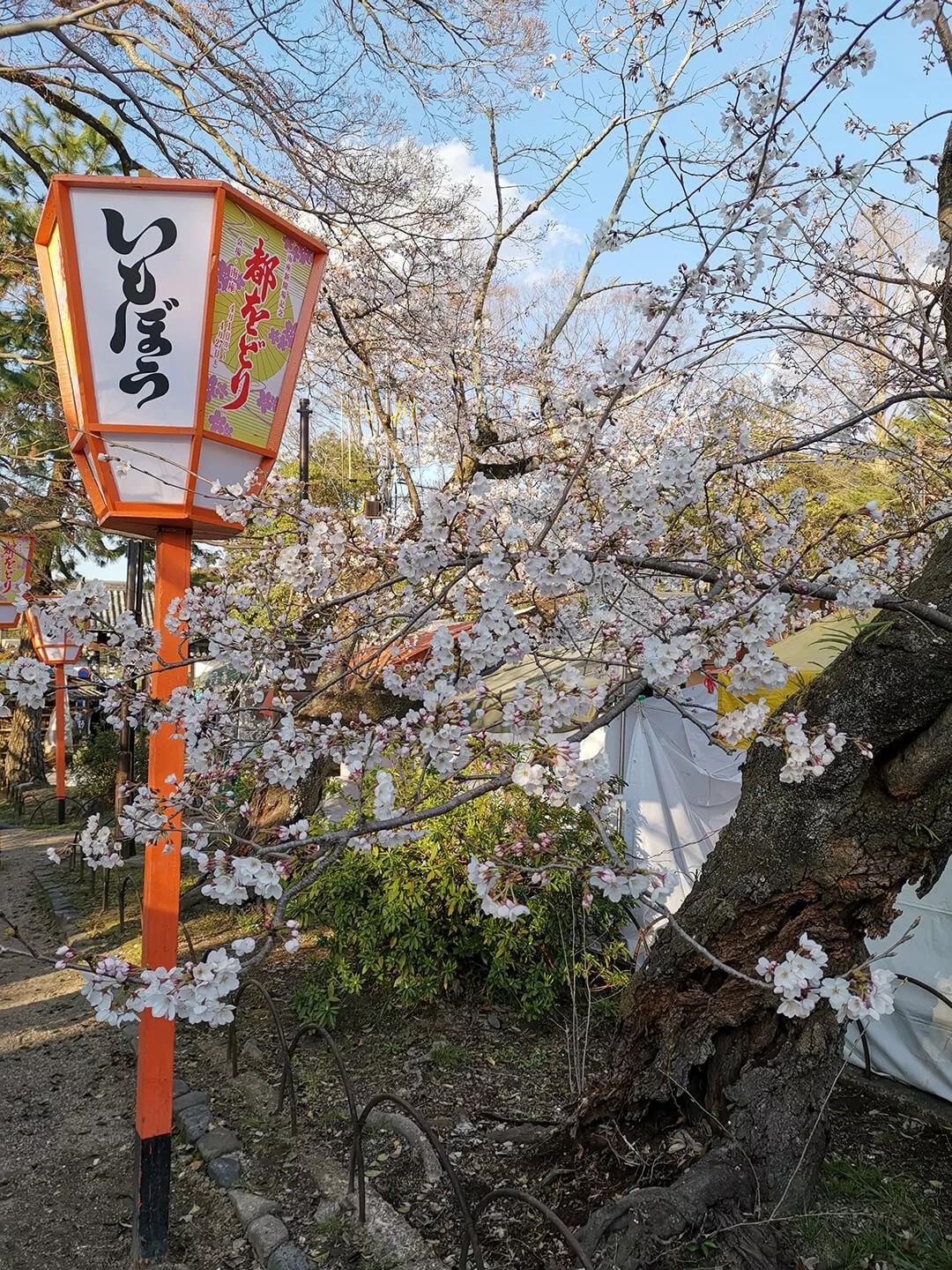 「慢达世界」第216期：短暂停留的京都生活，柊家的待客之道