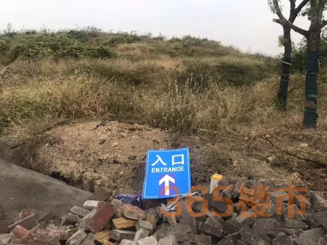 江宁华谊小镇最新消息,华谊兄弟南京电影小镇怎么样