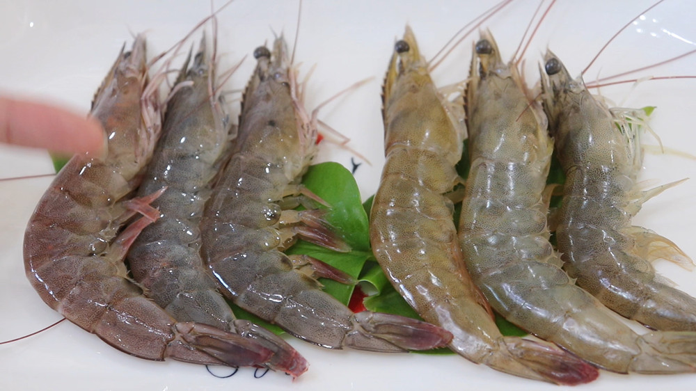 超市卖的冻鲜虾是河虾还是海虾,卖的虾和冻虾怎么区别