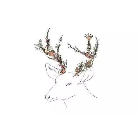 微博里说的经典语录,微博上最火的一句激励语