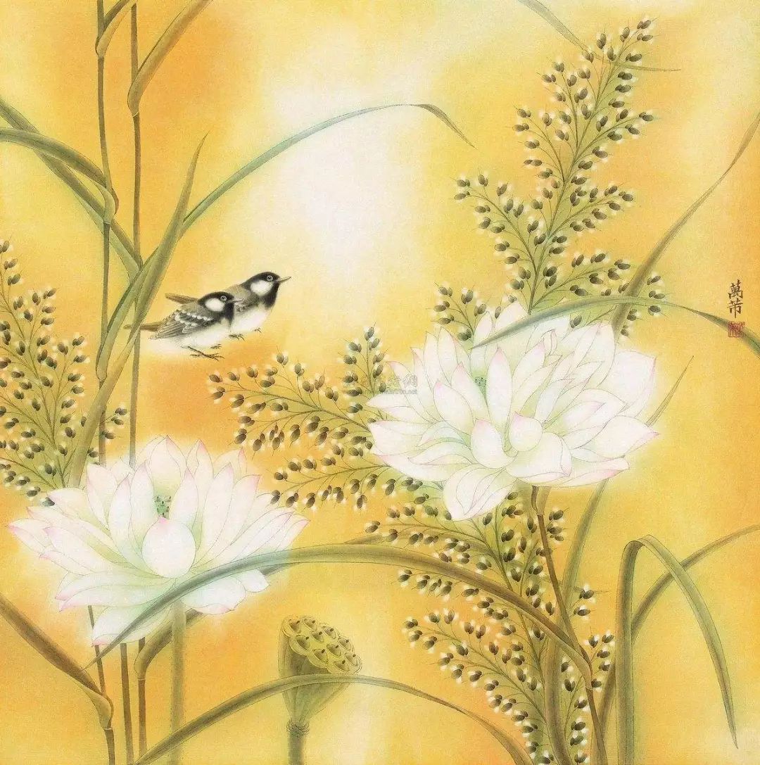 农历和阴历还有阳历的区别是什么,教我们分清公历阳历阴历农历