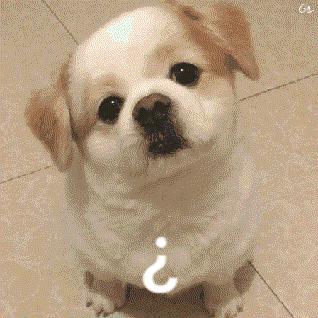 毕业生档案如何存放到户籍所,毕业生毕业档案放在人社局