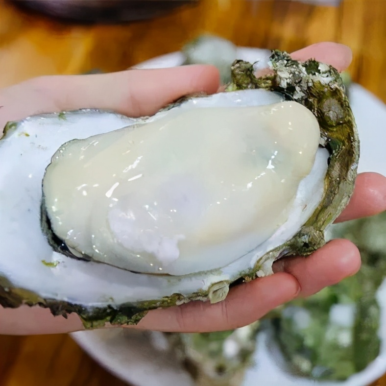 这个春节怎么过一大波攻略来啦,春节期间的最全攻略