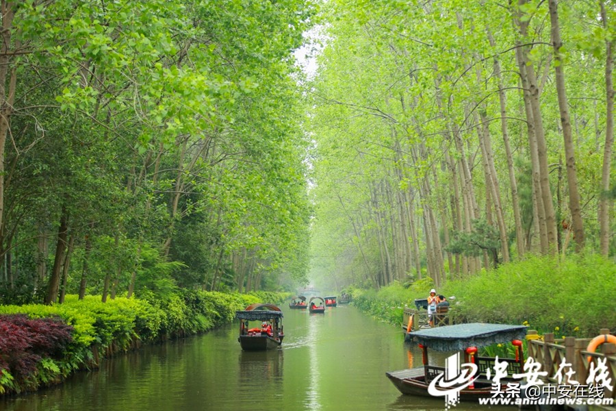 五一出发安徽3-5天短途旅游推荐,列出3条安徽经典的旅游路线