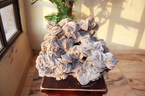 为啥在沙漠里见到石头要捡起来,在沙漠里看见石头为什么要捡起来