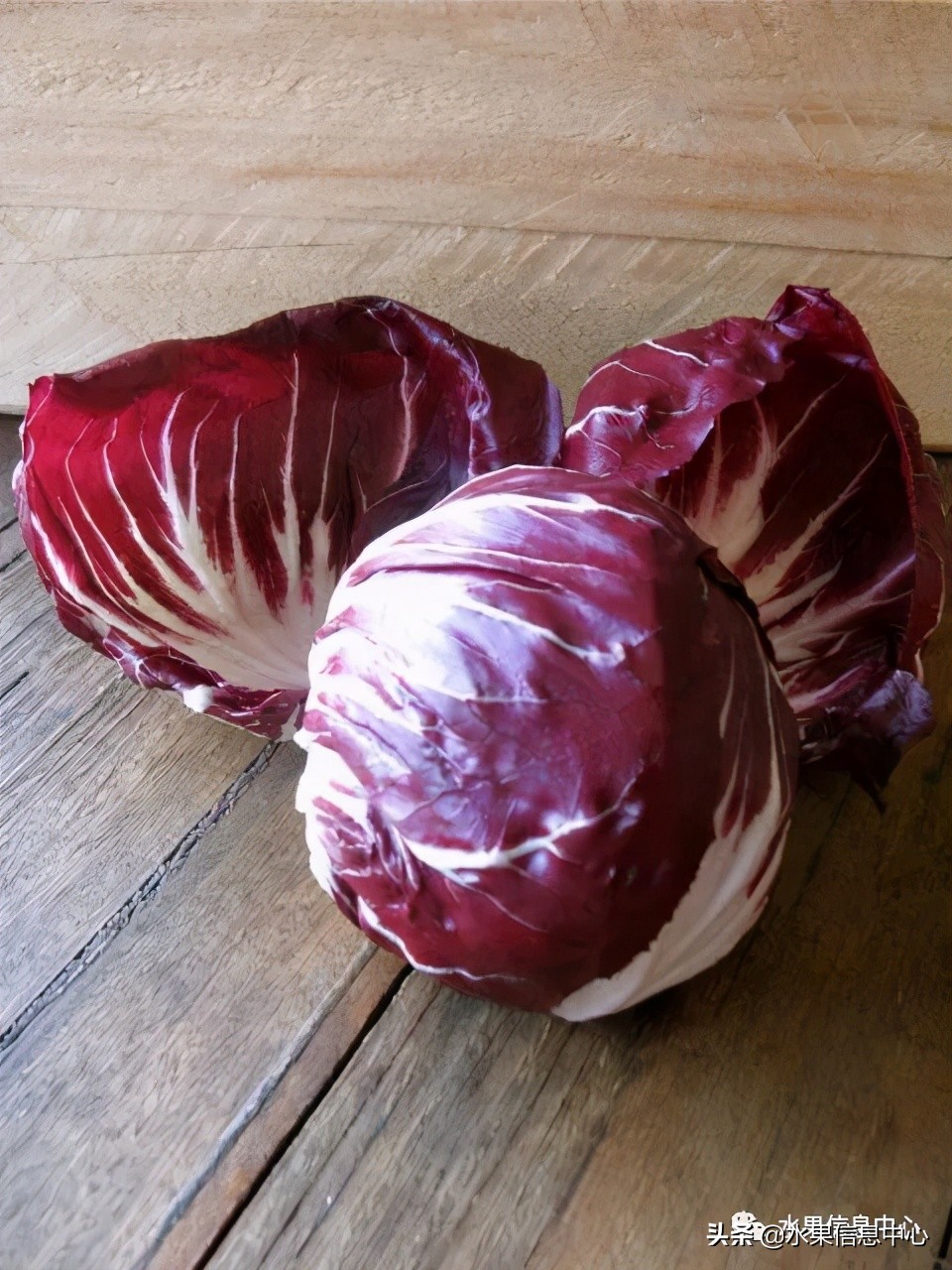 最近卖的比较火的水果店,最近新出来的水果店