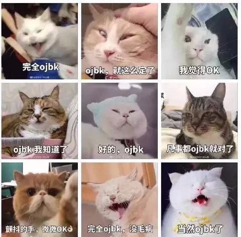 “nmsl、ojbk”等网络流行语，让中年人感受到代沟