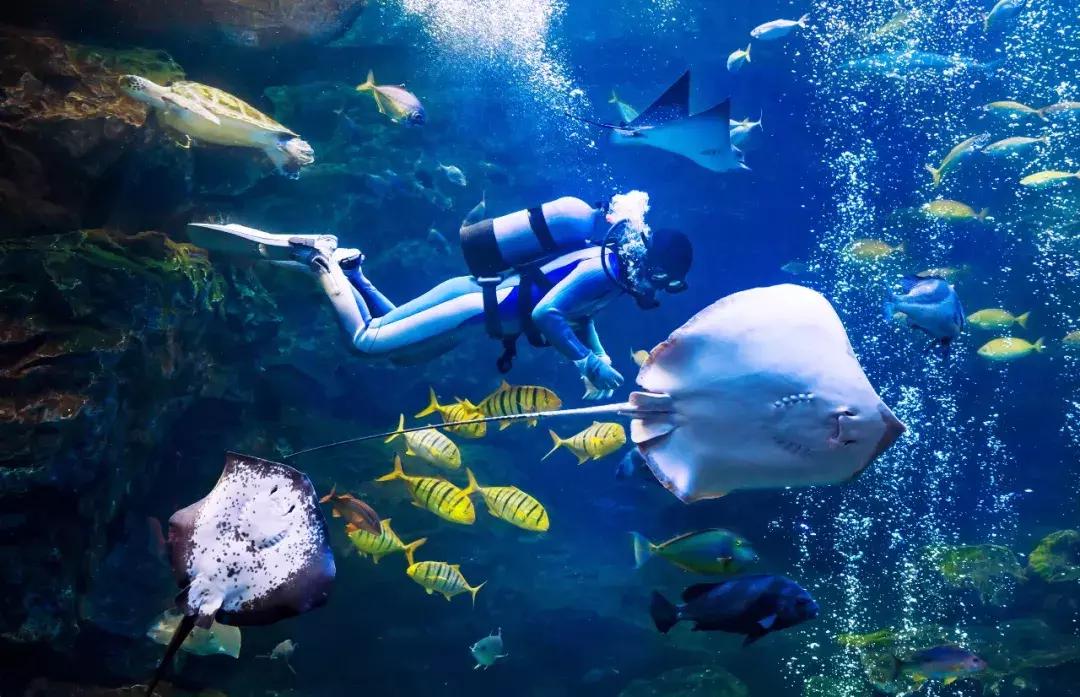 11月机票白菜价！从西安出发游遍全国，最低75元！说飞就飞~