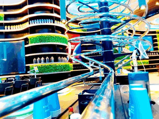 大锦鲤top店,大锦鲤适合吃的鱼食