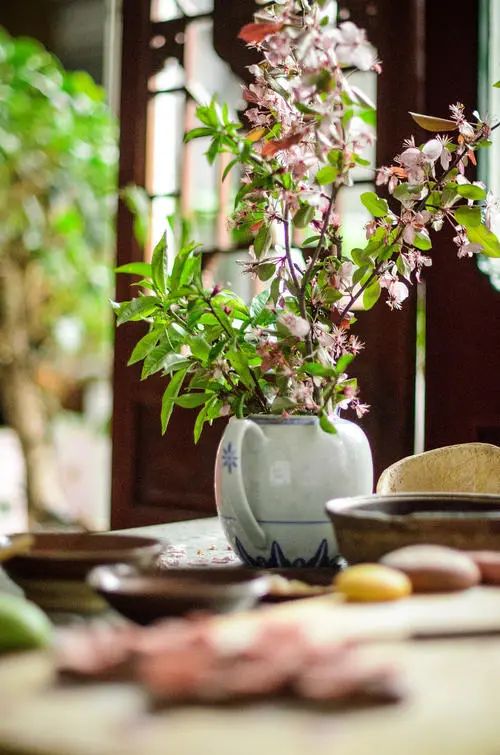 桃花树盆栽养护,桃花盆栽小技巧