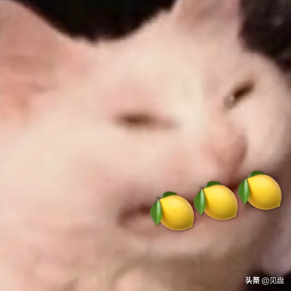 刘飞儿为甜品店研发新品，以身试“毒”上吐下泻